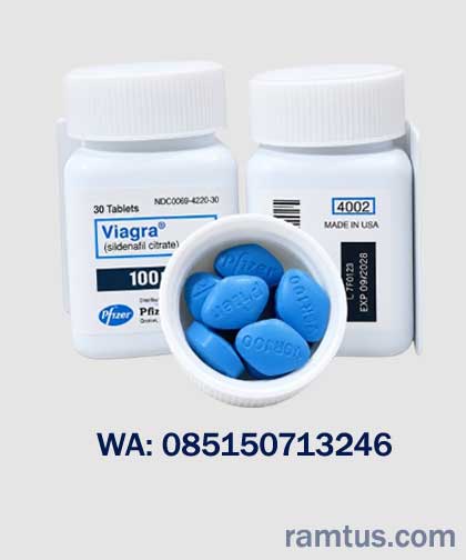 jual viagra 100 mg
